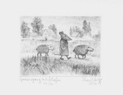 Spaziergang mit Schafen