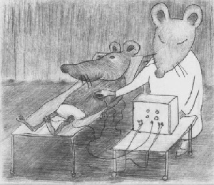 EKG EKG