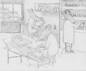 Labor
