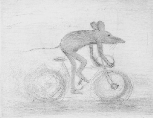 Rennfahrer